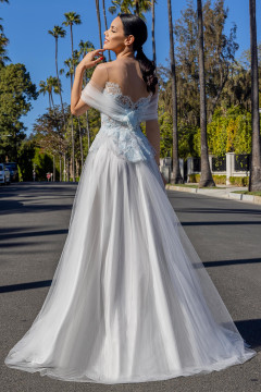 Tulle Gown with Embroidery