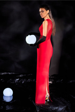 Crepe Gown with Embroidered Fishnet Crepe Gown with Embroidered Fishnet