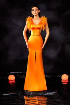 Satin Gown with Feathered Sleeves Satin Gown with Feathered Sleeves