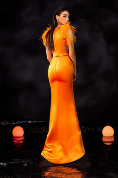 Satin Gown with Feathered Sleeves Satin Gown with Feathered Sleeves