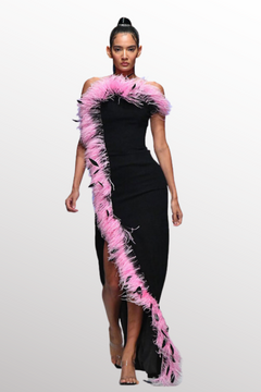 Ombre Feathered Gown