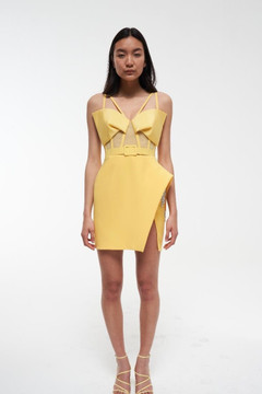 Corset Cocktail Mini Dress Corset Cocktail Mini Dress