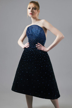 Velvet Embroidered Midi Dress Velvet Embroidered Midi Dress
