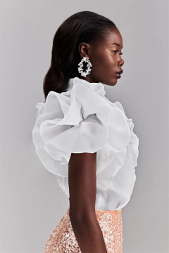 Ruffled Beaded Dress Ruffled Beaded Dress
