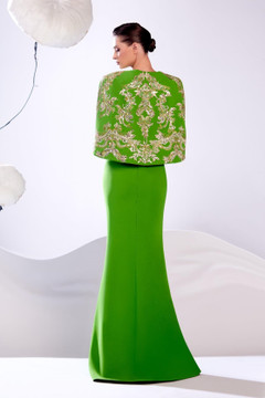 Embroidered Shawl Gown
