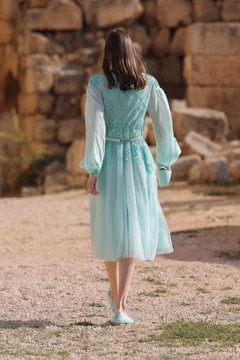 Puffy Sleeve Robe Dress