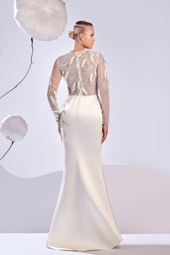 Long Sleeve Illusion Gown