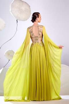 Long Draped Sleeves Gown