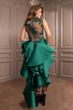 Embroidered Illusion Dress Embroidered Illusion Dress