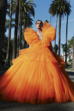 Shirred Tulle Ball Gown