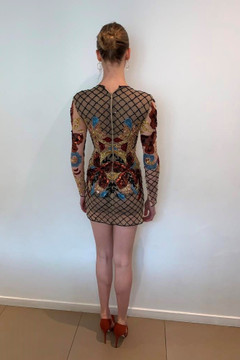 Long Sleeve Embroidered-Tulle Dress