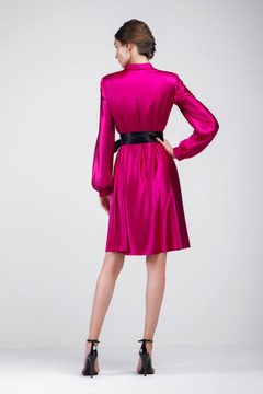 Satin Long Sleeve Dress Satin Long Sleeve Dress