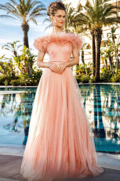 Feathered Bodice A-Line Gown Feathered Bodice A-Line Gown