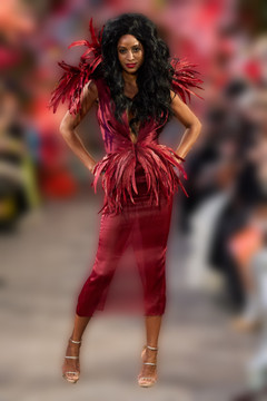 Feathered Midi Dress Feathered Midi Dress