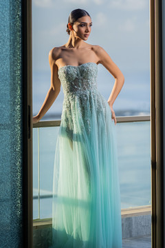 Claire Tulle Gown Claire Tulle Gown