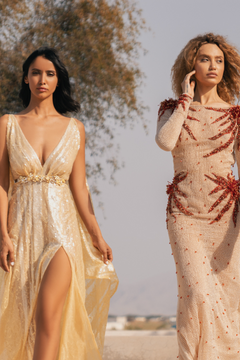 V-Neck Lace Gown V-Neck Lace Gown