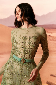 Tulle Sleeved Midi Dress