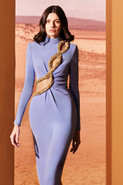 Snake-Like Embroidered Dress Snake-Like Embroidered Dress