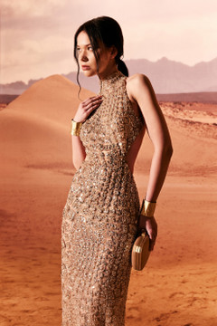 Sleeveless Collar Neck Gown Sleeveless Collar Neck Gown