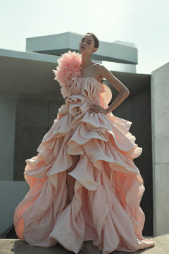 Feathered Sleeve A-Line Gown Feathered Sleeve A-Line Gown