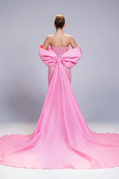 Dentelle and Taffeta Gown