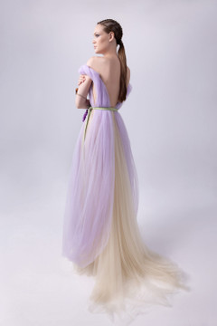 Off-Shoulder-Illusion Gown Off-Shoulder-Illusion Gown