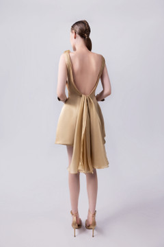 Crepe and Organza Dress Crepe and Organza Dress
