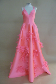 Sleeveless Pink A-Line Evening Gown