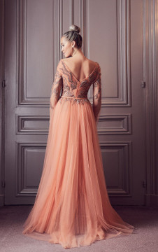 Wide V-Neck Long Sleeve Gown