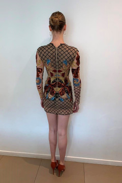 Long Sleeve Embroidered Tulle Dress