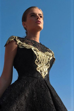 Embroidered Lace Gown Embroidered Lace Gown