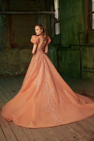 Overskirt  Gown
