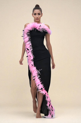 Ombre Feathered Gown
