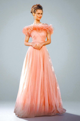 Feathered Bodice A Line Gown