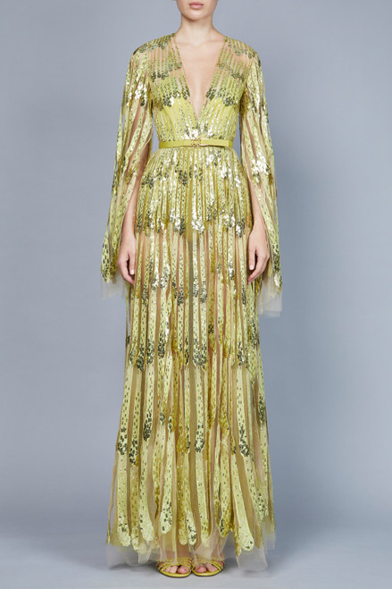 Shop Elie Saab Yarn Embroidered Cape Sleeve Gown