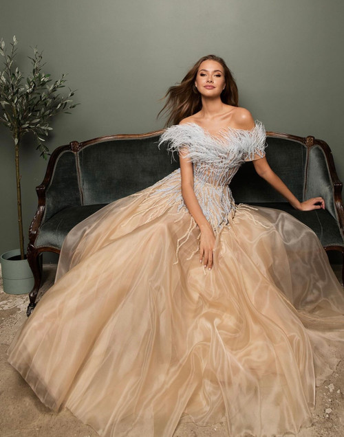 Shop O'blanc Embroidered And Feathered Tulle Gown