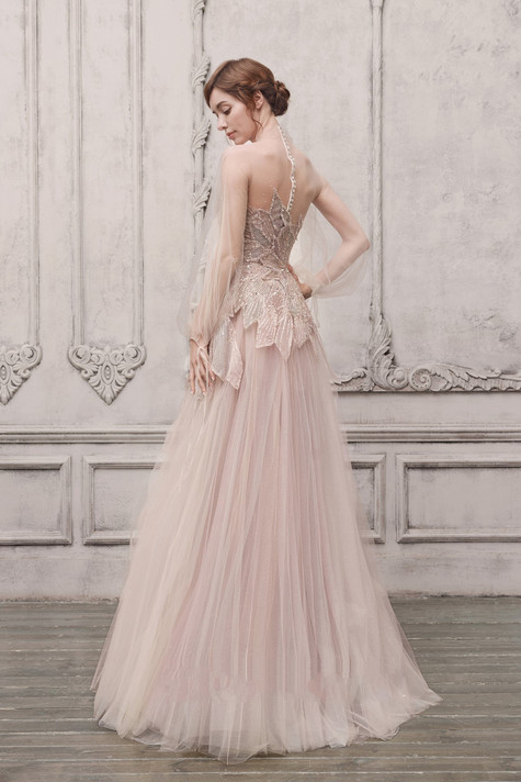Sheer Illusion Embellished Gown