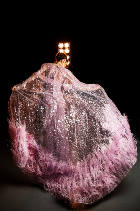 Crystal Feathered Gown