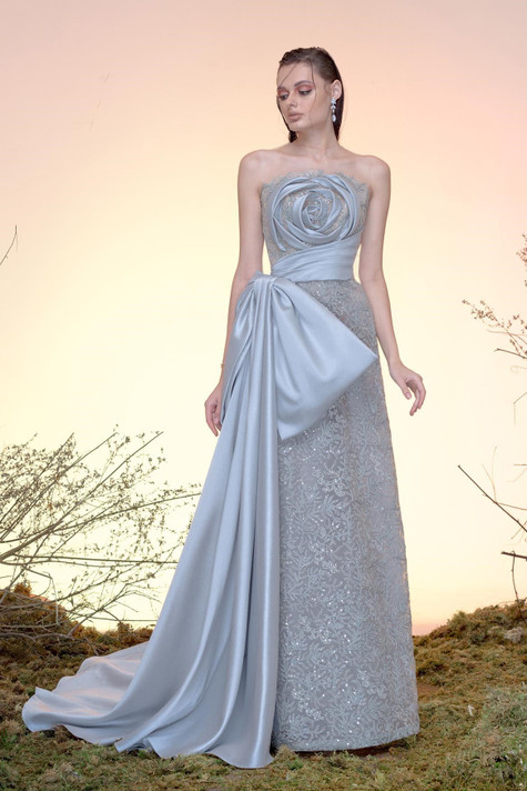 Silk Gazar and Lace Gown