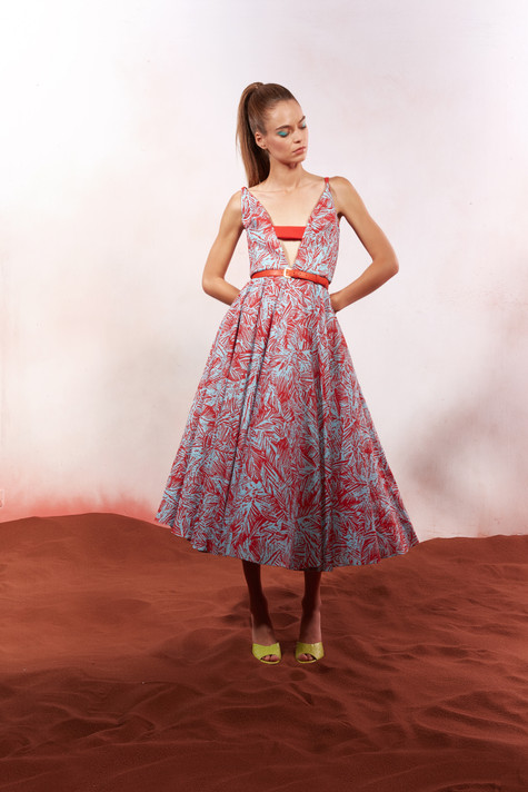 Printed V Neckline Midi Dress