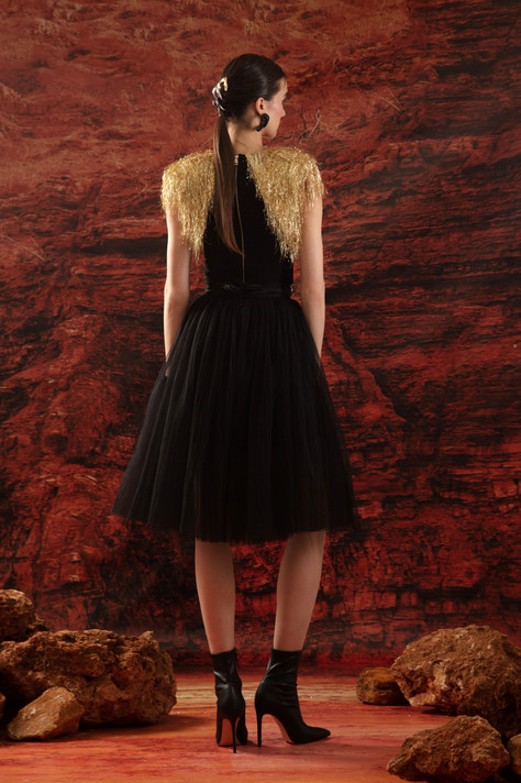 Gold Top with Flared Tulle Skirt