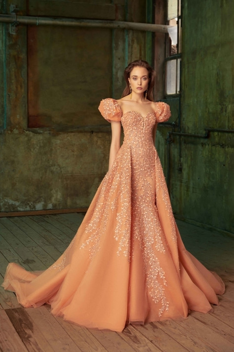 Overskirt  Gown