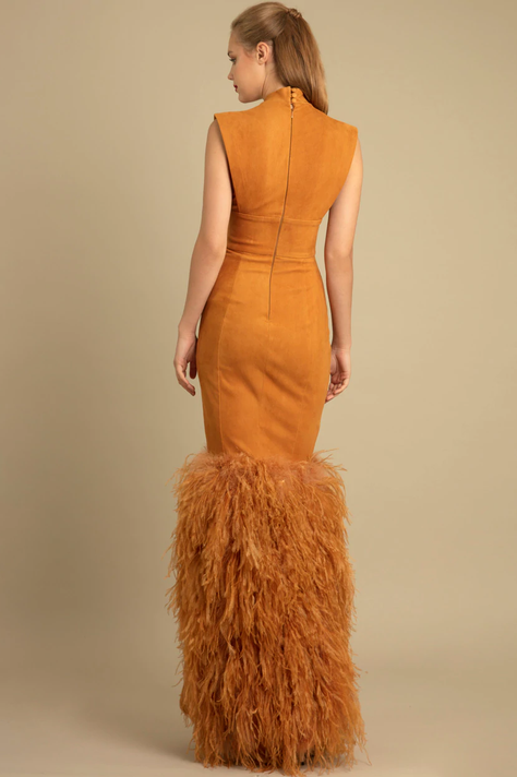 V-Cut Neckline Feathered Gown