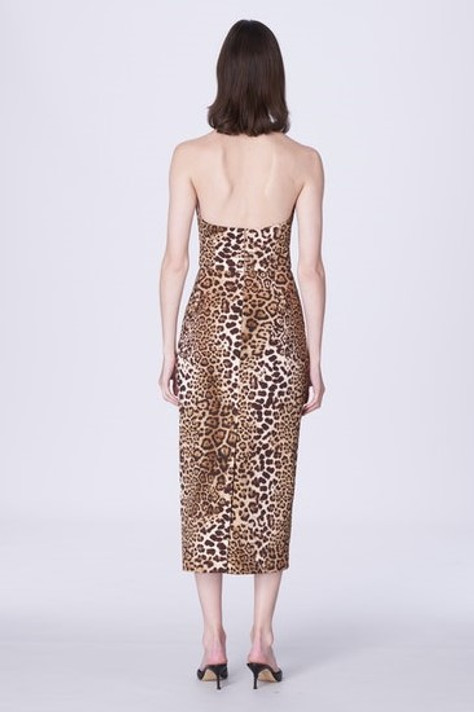 Leopard Print Cotton-Blend Midi Dress
