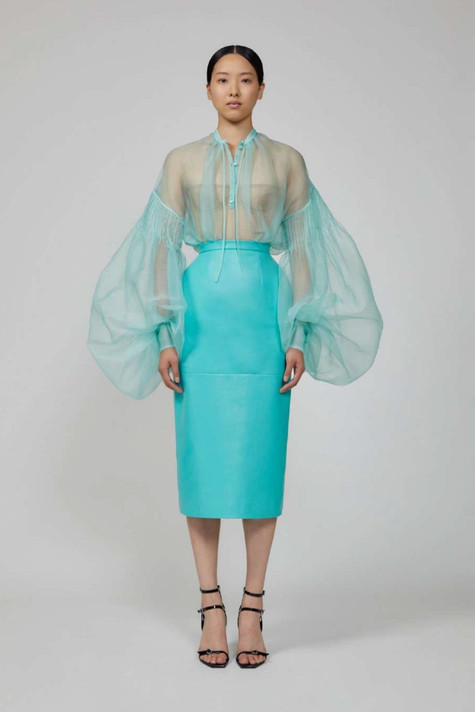 Organza Blouse and Leather Skirt