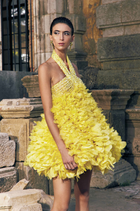 Tulle and Organza Applique Cocktail Dress