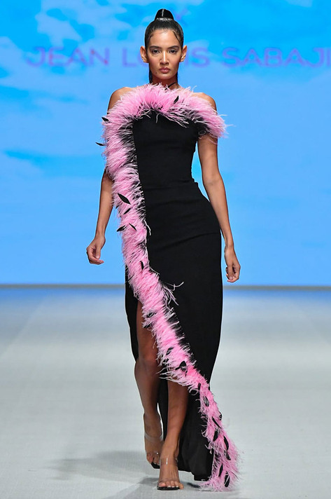 Crepe Gown with Ombre Feathers