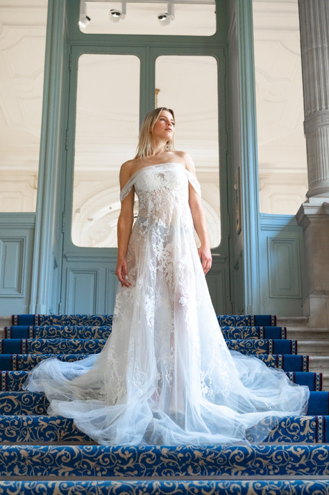 Dentelle and Tulle Gown