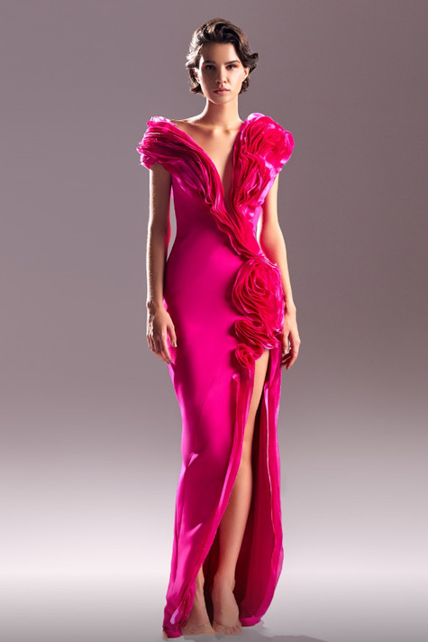 Exotic Plunging Neck Slit Gown