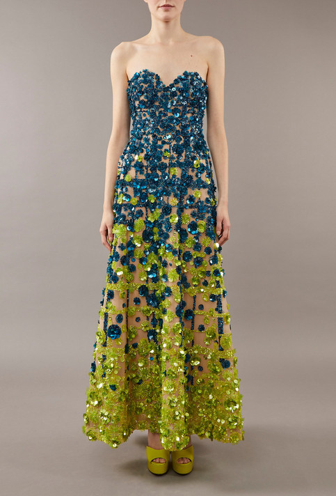 Ombre 3D-Floral Applique Gown